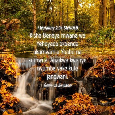 Picture 04 - 1 Wafalme 2:34 SWHULB - Kisha Benaya mwana wa Yehoyada akaenda akamvamia - Bible Verse Picture