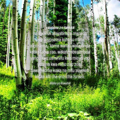 Picture 04 - 1 Wafalme 2:4 SWHULB - na BWANA atayatimiza maneno yake aliyosema kuhusu - Bible Verse Picture