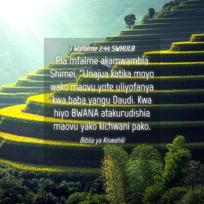 Picture 04 - 1 Wafalme 2:44 SWHULB - Pia mfalme akamwambia Shimei, “Unajua katika - Bible Verse Picture