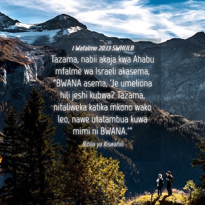 Picture 04 - 1 Wafalme 20:13 SWHULB - Tazama, nabii akaja kwa Ahabu mfalme wa Israeli - Bible Verse Picture