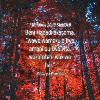 Picture 04 - 1 Wafalme 20:18 SWHULB - Beni Hadadi akasema, “wawe wamekuja kwa amani - Bible Verse Picture