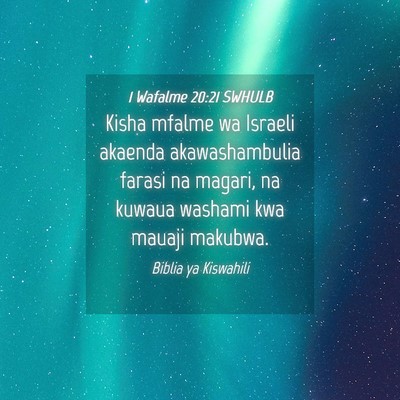 Picture 04 - 1 Wafalme 20:21 SWHULB - Kisha mfalme wa Israeli akaenda akawashambulia - Bible Verse Picture