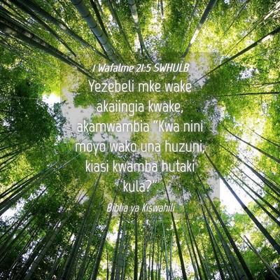 Picture 04 - 1 Wafalme 21:5 SWHULB - Yezebeli mke wake akaiingia kwake, akamwambia - Bible Verse Picture