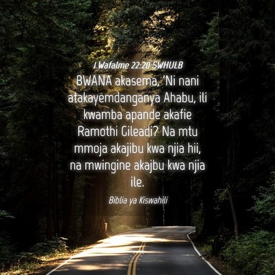 Picture 04 - 1 Wafalme 22:20 SWHULB - BWANA akasema, 'Ni nani atakayemdanganya Ahabu, - Bible Verse Picture