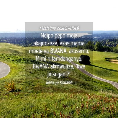 Picture 04 - 1 Wafalme 22:21 SWHULB - Ndipo pepo moja akajitokeza, akasimama mbele ya - Bible Verse Picture
