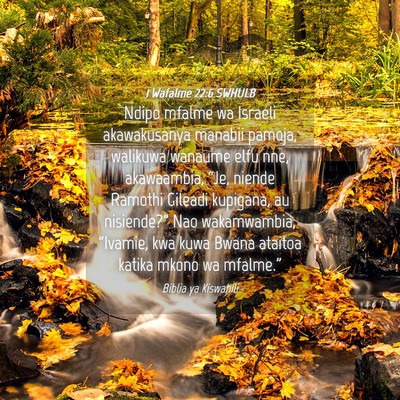 Picture 04 - 1 Wafalme 22:6 SWHULB - Ndipo mfalme wa Israeli akawakusanya manabii - Bible Verse Picture