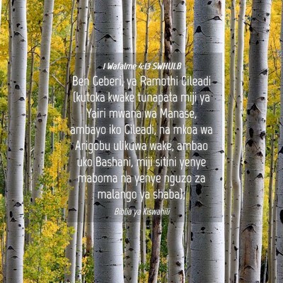 Picture 04 - 1 Wafalme 4:13 SWHULB - Ben Geberi, ya Ramothi Gileadi (kutoka kwake - Bible Verse Picture
