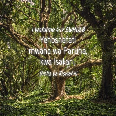 Picture 04 - 1 Wafalme 4:17 SWHULB - Yehoshafati mwana wa Paruha, kwa - Bible Verse Picture