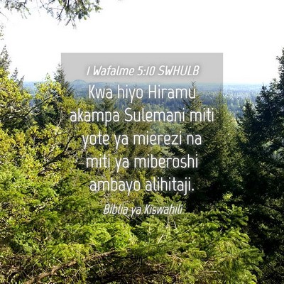 Picture 04 - 1 Wafalme 5:10 SWHULB - Kwa hiyo Hiramu akampa Sulemani miti yote ya - Bible Verse Picture