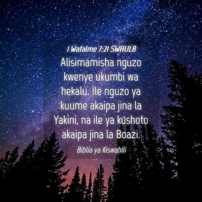 Picture 04 - 1 Wafalme 7:21 SWHULB - Alisimamisha nguzo kwenye ukumbi wa hekalu. Ile - Bible Verse Picture