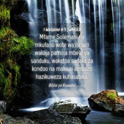 Picture 04 - 1 Wafalme 8:5 SWHULB - Mfame Sulemani na mkutano wote wa Israeli wakaja - Bible Verse Picture