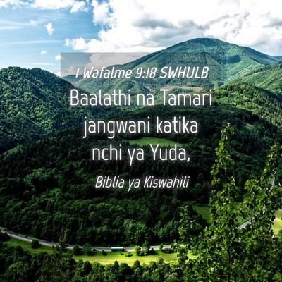 Picture 04 - 1 Wafalme 9:18 SWHULB - Baalathi na Tamari jangwani katika nchi ya - Bible Verse Picture