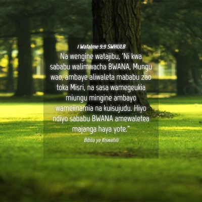 Picture 04 - 1 Wafalme 9:9 SWHULB - Na wengine watajibu, 'Ni kwa sababu walimwacha - Bible Verse Picture