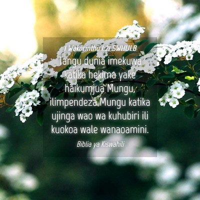 Picture 04 - 1 Wakorintho 1:21 SWHULB - Tangu dunia imekuwa katika hekima yake haikumjua - Bible Verse Picture