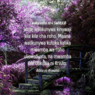 Picture 04 - 1 Wakorintho 10:4 SWHULB - Wote walikunywa kinywaji kile kile cha roho. - Bible Verse Picture