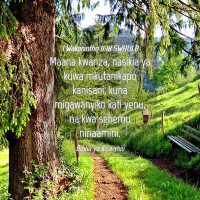Picture 04 - 1 Wakorintho 11:18 SWHULB - Maana kwanza, nasikia ya kuwa mkutanikapo - Bible Verse Picture