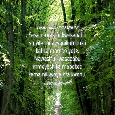 Picture 04 - 1 Wakorintho 11:2 SWHULB - Sasa nawasifu kwasababu ya vile mnavyonikumbuka - Bible Verse Picture