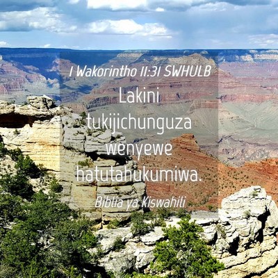 Picture 04 - 1 Wakorintho 11:31 SWHULB - Lakini tukijichunguza wenyewe - Bible Verse Picture