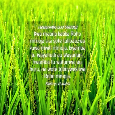 Picture 04 - 1 Wakorintho 12:13 SWHULB - Kwa maana katika Roho mmoja sisi sote tulibatizwa - Bible Verse Picture