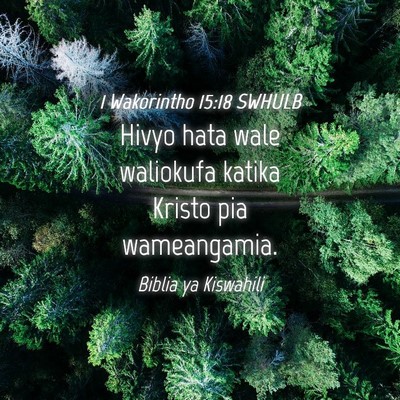 Picture 04 - 1 Wakorintho 15:18 SWHULB - Hivyo hata wale waliokufa katika Kristo pia - Bible Verse Picture
