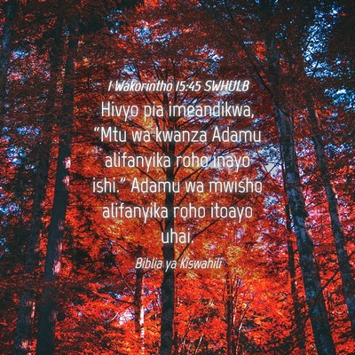Picture 04 - 1 Wakorintho 15:45 SWHULB - Hivyo pia imeandikwa, “Mtu wa kwanza Adamu - Bible Verse Picture