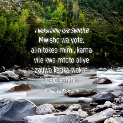 Picture 04 - 1 Wakorintho 15:8 SWHULB - Mwisho wa yote, alinitokea mimi, kama vile kwa - Bible Verse Picture