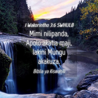 Picture 04 - 1 Wakorintho 3:6 SWHULB - Mimi nilipanda, Apolo akatia maji, lakini Mungu - Bible Verse Picture