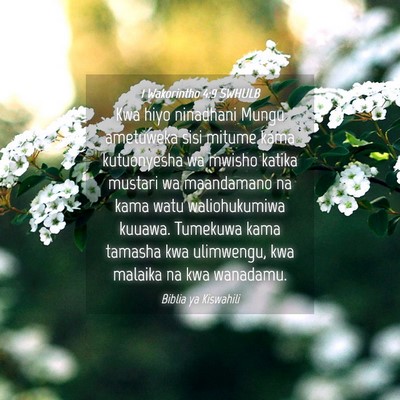 Picture 04 - 1 Wakorintho 4:9 SWHULB - Kwa hiyo ninadhani Mungu ametuweka sisi mitume - Bible Verse Picture
