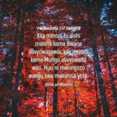Picture 04 - 1 Wakorintho 7:17 SWHULB - Kila mmoja tu aishi maisha kama Bwana - Bible Verse Picture