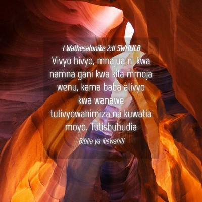 Picture 04 - 1 Wathesalonike 2:11 SWHULB - Vivyo hivyo, mnajua ni kwa namna gani kwa kila - Bible Verse Picture