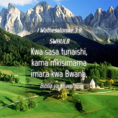 Picture 04 - 1 Wathesalonike 3:8 SWHULB - Kwa sasa tunaishi, kama mkisimama imara kwa - Bible Verse Picture