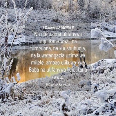 Picture 04 - 1 Yohana 1:2 SWHULB - Na ule uzima ulifanywa kujulikana wazi, na - Bible Verse Picture