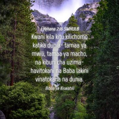Picture 04 - 1 Yohana 2:16 SWHULB - Kwani kila kitu kilichomo katika dunia- tamaa ya - Bible Verse Picture