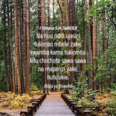 Picture 04 - 1 Yohana 5:14 SWHULB - Na huu ndio ujasiri tulionao mbele zake, kwamba - Bible Verse Picture