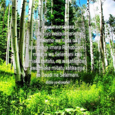 Picture 04 - 2 Nyakati 11:17 SWHULB - Kwa hiyo wakauimarisha ufalame wa Yuda na - Bible Verse Picture
