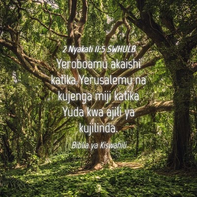 Picture 04 - 2 Nyakati 11:5 SWHULB - Yeroboamu akaishi katika Yerusalemu na kujenga - Bible Verse Picture