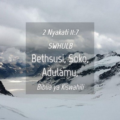Picture 04 - 2 Nyakati 11:7 SWHULB - Bethsusi, Soko, - Bible Verse Picture
