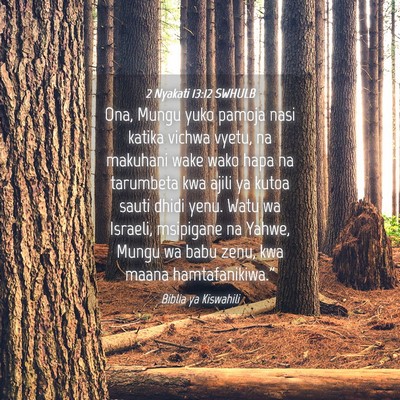 Picture 04 - 2 Nyakati 13:12 SWHULB - Ona, Mungu yuko pamoja nasi katika vichwa vyetu, - Bible Verse Picture