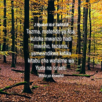Picture 04 - 2 Nyakati 16:11 SWHULB - Tazma, matendo ya Asa, kutoka mwanzo hadi mwisho, - Bible Verse Picture