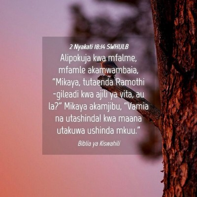 Picture 04 - 2 Nyakati 18:14 SWHULB - Alipokuja kwa mfalme, mfamle akamwambaia, - Bible Verse Picture