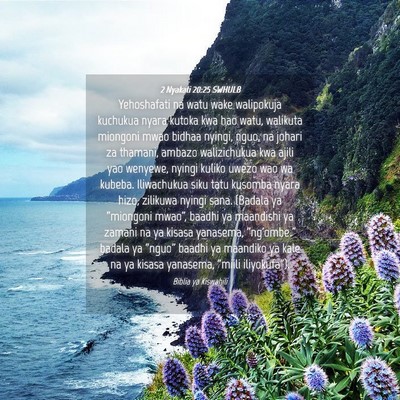 Picture 04 - 2 Nyakati 20:25 SWHULB - Yehoshafati na watu wake walipokuja kuchukua - Bible Verse Picture