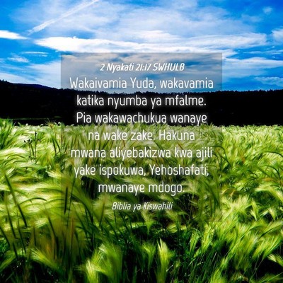 Picture 04 - 2 Nyakati 21:17 SWHULB - Wakaivamia Yuda, wakavamia katika nyumba ya - Bible Verse Picture