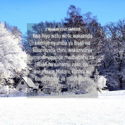 Picture 04 - 2 Nyakati 23:17 SWHULB - Kwa hiyo watu wote wakaenda kwenye nyumba ya - Bible Verse Picture