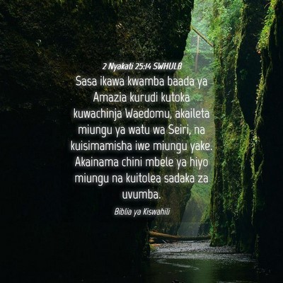 Picture 04 - 2 Nyakati 25:14 SWHULB - Sasa ikawa kwamba baada ya Amazia kurudi kutoka - Bible Verse Picture