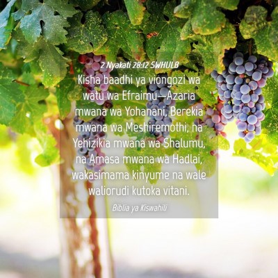 Picture 04 - 2 Nyakati 28:12 SWHULB - Kisha baadhi ya viongozi wa watu wa - Bible Verse Picture