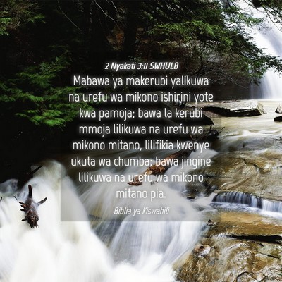 Picture 04 - 2 Nyakati 3:11 SWHULB - Mabawa ya makerubi yalikuwa na urefu wa mikono - Bible Verse Picture