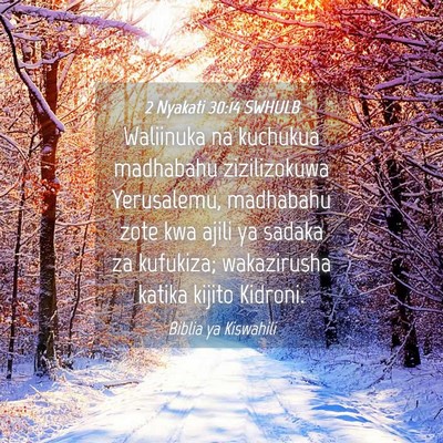Picture 04 - 2 Nyakati 30:14 SWHULB - Waliinuka na kuchukua madhabahu zizilizokuwa - Bible Verse Picture