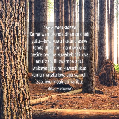 Picture 04 - 2 Nyakati 6:36 SWHULB - Kama wametenda dhambi dhidi yako—kwa kuwa - Bible Verse Picture