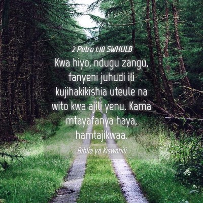 Picture 04 - 2 Petro 1:10 SWHULB - Kwa hiyo, ndugu zangu, fanyeni juhudi ili - Bible Verse Picture