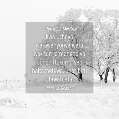 Picture 04 - 2 Petro 2:3 SWHULB - Kwa uchoyo watawanyonya watu wakitumia maneno ya - Bible Verse Picture